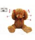 GC013 - Simple Teddy Gift Idea 